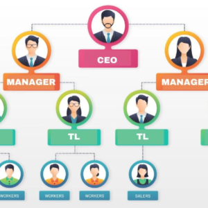 org chart 2 Organizational Chart Generator